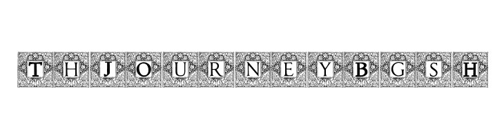 Topiary_Initials  Free Fonts Download