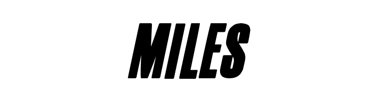 Film Noir Italic  Free Fonts Download