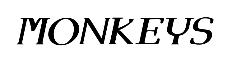 Angel Eyes Italic  Free Fonts Download
