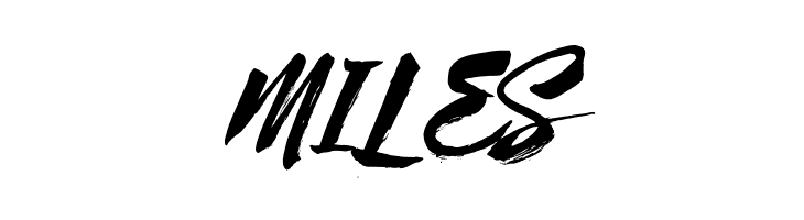 Syabab Brush Script  Free Fonts Download