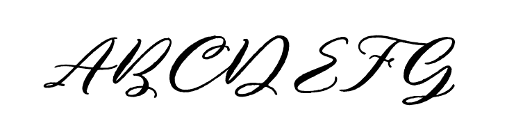 Puniko Rough  Free Fonts Download