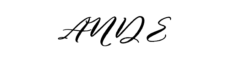 Puniko Rough  Free Fonts Download