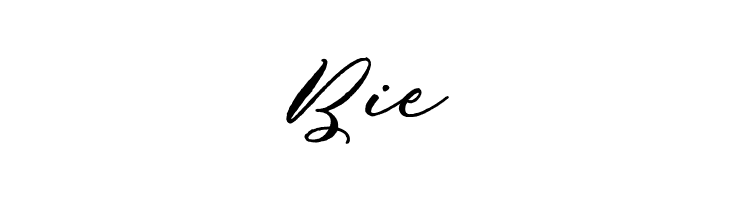 Puniko Rough  Free Fonts Download