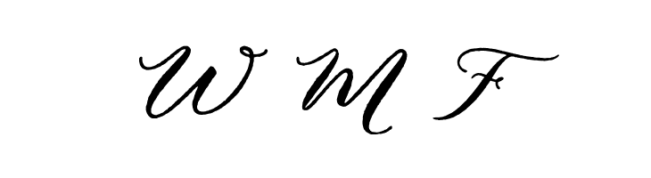 Puniko Rough  Free Fonts Download