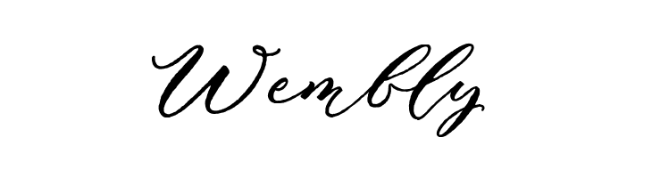 Puniko Rough  Free Fonts Download