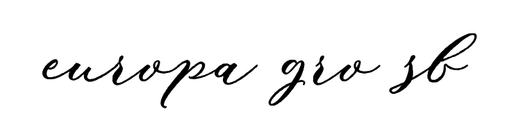 Puniko Rough  Free Fonts Download