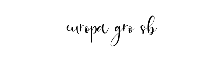 Banitta Script  Free Fonts Download