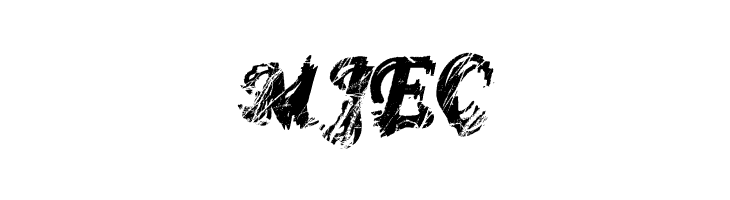 MonoMadnessRegular  Free Fonts Download