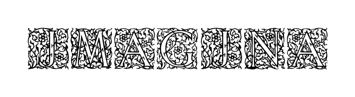 Arabesque Initialen  Free Fonts Download