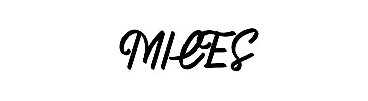 Ace Joker  Free Fonts Download