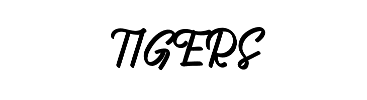 Ace Joker  Free Fonts Download