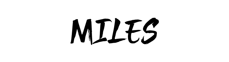 Bajigur_Demo  Free Fonts Download