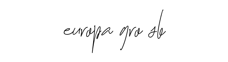 Nayla Signattures_DEMO  Free Fonts Download