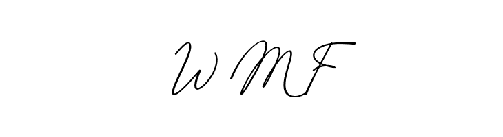 SafarnamaSignature-Regular  Free Fonts Download