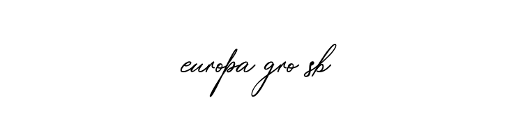 SafarnamaSignature-Regular  Free Fonts Download