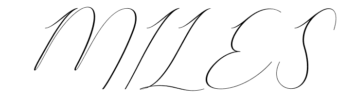 Amalyara-Regular  Free Fonts Download