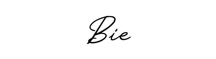Travel November  Free Fonts Download