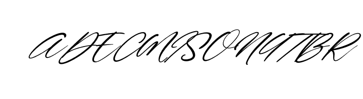 Wonderfull Italic  Free Fonts Download