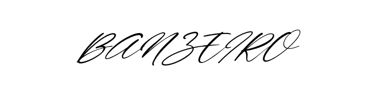 Wonderfull Italic  Free Fonts Download