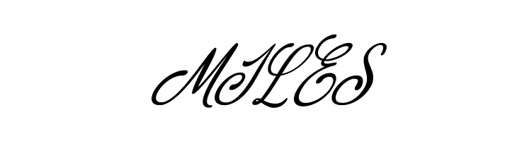 Hasley Italic  Free Fonts Download