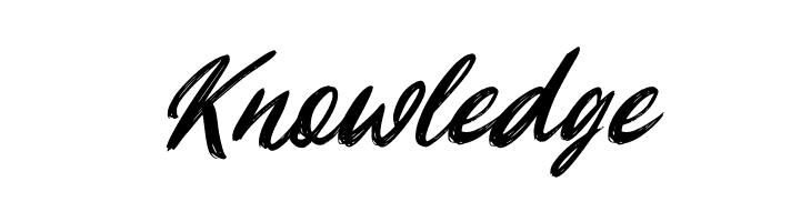 Playbrush Tilted  Free Fonts Download