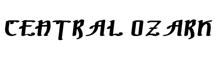 !The Black Bloc Bold Italic  Free Fonts Download