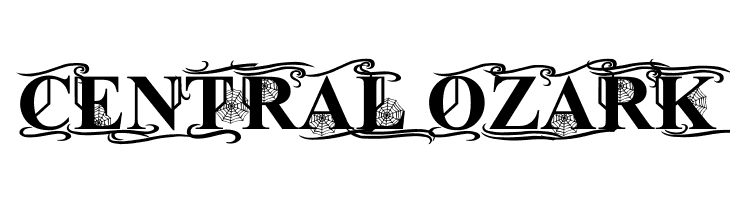 Times Old Attic Bold  Free Fonts Download