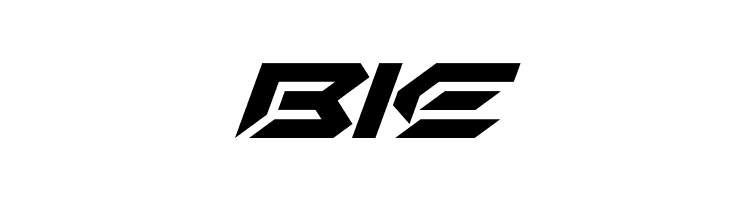 Iron Shark Italic  Free Fonts Download