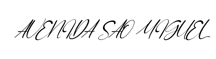 Orange Signature Italic  Free Fonts Download