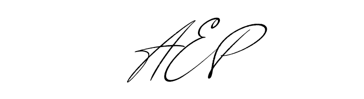 Anderson Signature Italic  Free Fonts Download