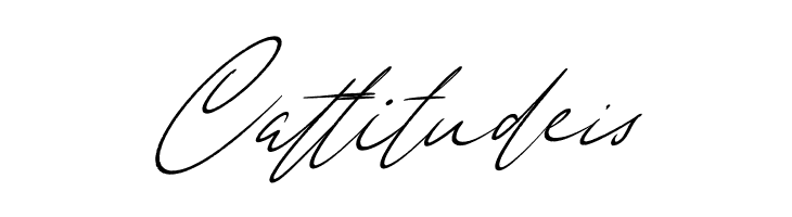 Anderson Signature Italic  Free Fonts Download