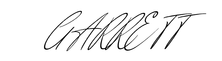 Anderson Signature Italic  Free Fonts Download