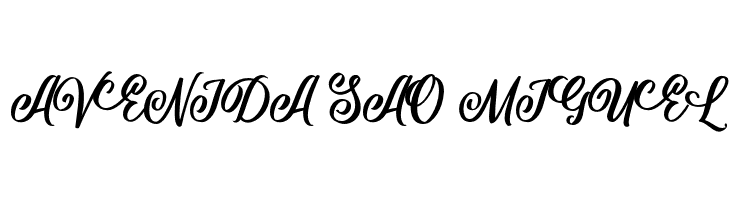 Shielfie  Free Fonts Download