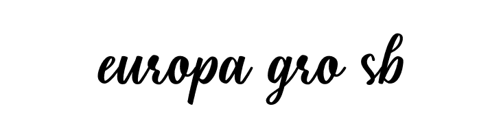 Shielfie  Free Fonts Download