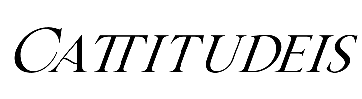 Bricktown Italic  Free Fonts Download