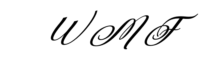 Rubeckia Italic  Free Fonts Download