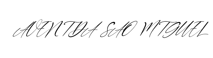 Double Signature Italic  Free Fonts Download