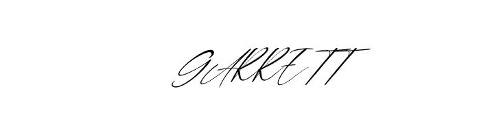 Double Signature Italic  Free Fonts Download