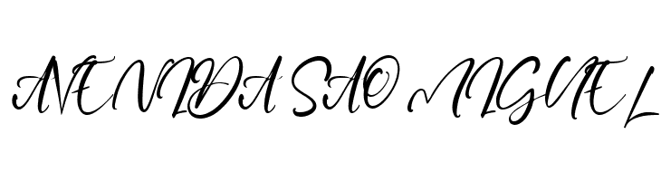 Capture Moment  Free Fonts Download