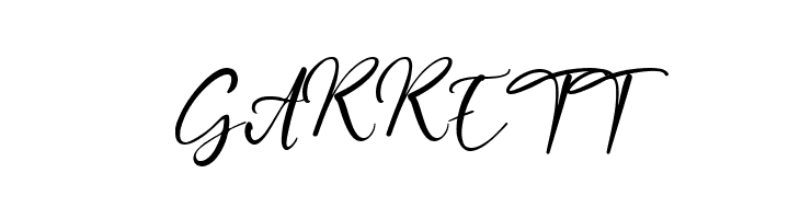 Capture Moment  Free Fonts Download