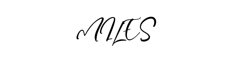 Capture Moment  Free Fonts Download