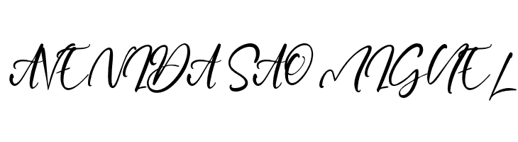 CaptureMoment  Free Fonts Download