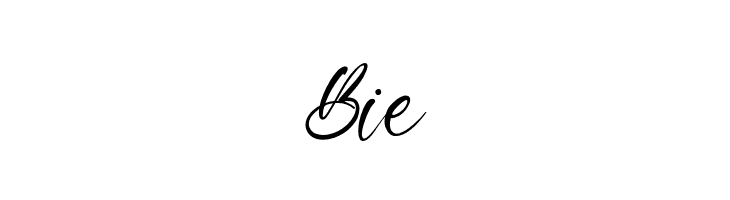 CaptureMoment  Free Fonts Download