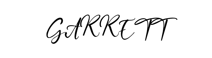 CaptureMoment  Free Fonts Download