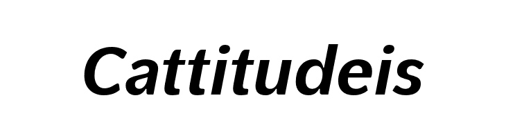 PelitaGrandeStd-BoldItalic  Free Fonts Download