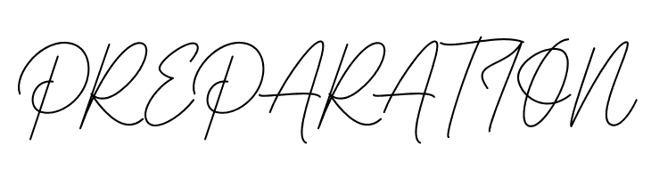 Luthon Southard Script  Free Fonts Download