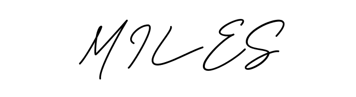 Visual Hollow Script  Free Fonts Download