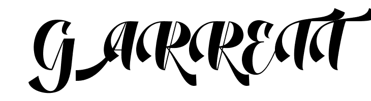 DustineScript  Free Fonts Download