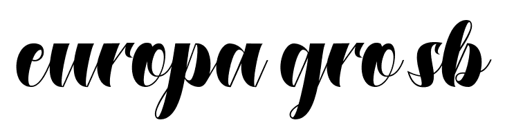 DustineScript  Free Fonts Download