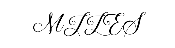 BeautyQueenScript  Free Fonts Download